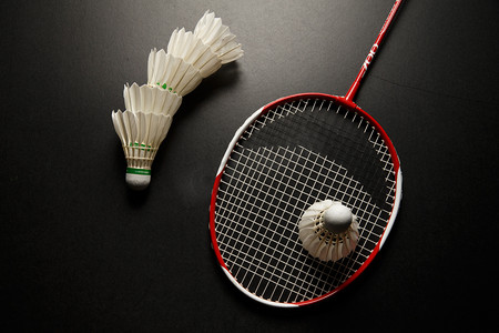 场地适合橄 场地适合橄