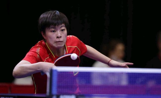 观赏性和市 观赏性和市